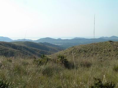 DSCF0024.JPG